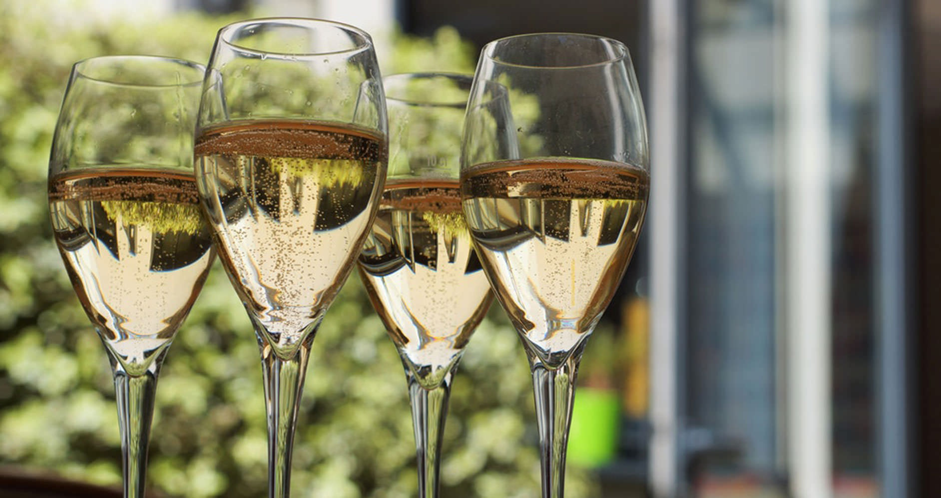 Sparkling Wines, Prosecco & Champagne